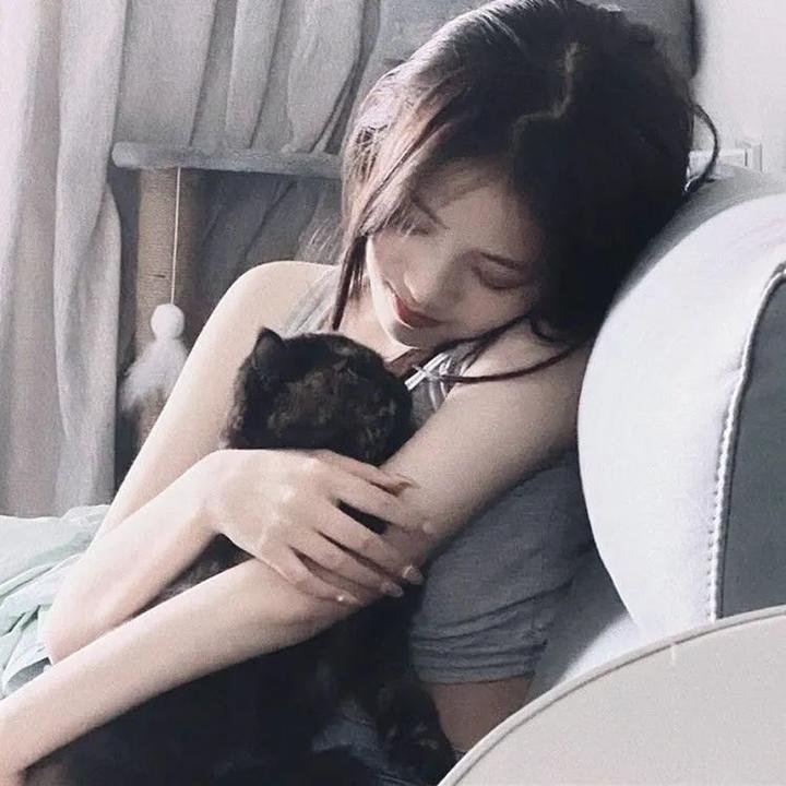 梦向楼心灯火归